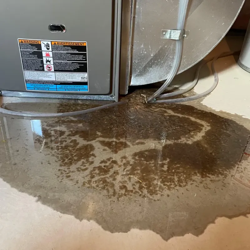 Appliance Leak Cleanup in Bennington County, VT